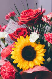 Maybe you would like to learn more about one of these? Sunflower And Roses Aesthetic Wallpaper Novocom Top