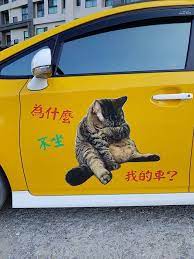 愛貓司機開著 貓咪計程車 救援浪貓暖心告白 為了救貓我可以少賺一點 寵伴partners cute pictures pics cute
