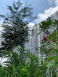 It lies in between the multimedia of cyberjaya & federal district city of putrajaya. Savanna Executive Suites Southville City For Rent In Bangi Roomz Asia