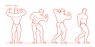 Dorian yates is a 6 time mr. Dorian Yates Dimensions Drawings Dimensions Com