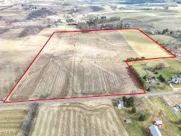 Bildergebnis für Ala D'Amico