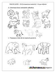 Check spelling or type a new query. 120 Fise De Lucru Ideas FiÈ™e De Lucru ActivitÄƒÈ›i PreÈ™colari PreÈ™colari