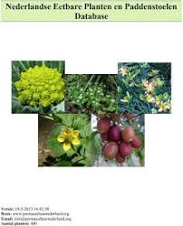 Plantengids Eetbare Planten Planten Tuin Ideeen