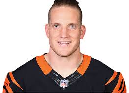 A.J. Hawk Career Stats