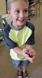 Cute rock found in Lake Jackson, Sweeney