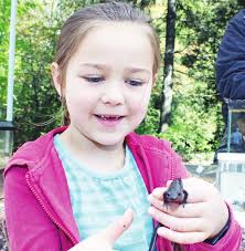 Little public support for shopping area near Valleywood Quote of the Week