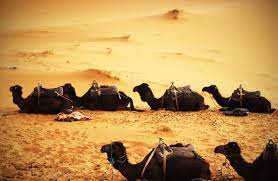 Camel configurations for spring boot. Testing Apache Camel Applications With Spring Boot By Matthias Kausl Willhaben Tech Blog