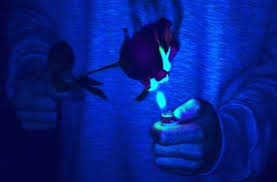 Black And Blue Aesthetic Room Pin By Fae On Blue Aesthetic Blue Aesthetic Grunge Blue Aesthetic Dark Blue Aesthetic Pastel