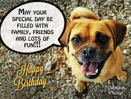 May Your Special Day Be Filled With Family Friends And Lots Of Fun Happy Birthday Cute Animals Images Cute Animals Birthday Wishes