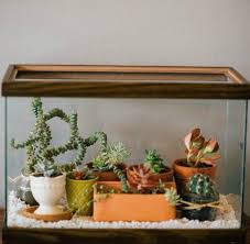 How To Turn Old Fish Tanks Into Amazing Planters And Terrariums Diy Succulent Terrarium Diy Fish Tank Fish Tank Terrarium