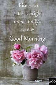 Today we are sharing beautiful good morning images with flowers for whatsapp & facebook. 420 Good Morning Quotes Wishes And Messages