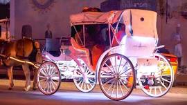 Holidays Downtown Carriage Rides