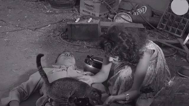 The Sadist (1963) - Cinema Cats