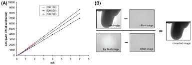 Klasse van digitale röntgenradiatoren in vaste toestand. A The Calibration Of The Flat Panel Detector Makes Use Of A Number Of Download Scientific Diagram