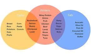 Protein It Will Not Make You Bulky