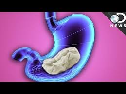 What Really Happens When You Swallow Gum Swallowing Chewing Gum Healthcare Jobs Chewing Gum