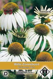 Maybe you would like to learn more about one of these? Cheyenne Spirit Cornflower Echinacea Seeds Coneflower Rudbeckia Tuinzaden Eu