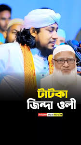 নবী উল হক মিলন