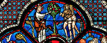 Was Ist Der Mensch Erstaunliche Ergebnisse Aus Der Bibel Basis Online