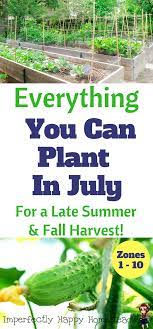 What To Plant In July In Your Vegetable Garden Now Fall Garden Vegetables Organic Gardening Tips Fall Vegetables