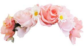 Aesthetic Flower Crown Png Transparent Flowers Flower Crown Drawing Snapchat Flower Crown