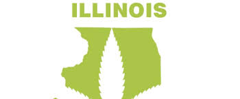 Once awarded a license, an annual registration/renewal fee of $60,000 is required. How To Open A Marijuana Dispensary In Illinois I Love Growing Marijuana