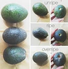 When to slice, dice or smash. How To Pick A Ripe Avocado Eat More Rabbit Food Avocado Ripe Avocado Rabbit Food