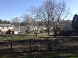 File Shenandoah Woods Abandoned Homes Warminster Pa Jpg Wikimedia Commons