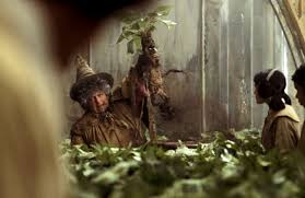 What are the names of the plants in harry potter? Which First Year Hogwarts Subject Would Most Suit You Wizarding World