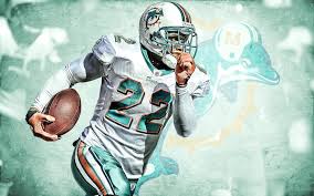 What you need to know is that these images that you add will neither increase nor decrease the speed of your computer. 564905 1920x1200 Miami Dolphins Wallpaper Desktop Backgrounds Mocah Hd Wallpapers