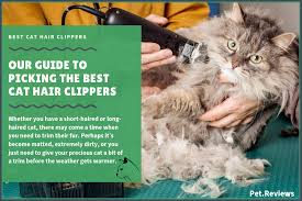 1.2 nicewell low noise grooming kit. 7 Best Cat Hair Clippers For Cats In 2021