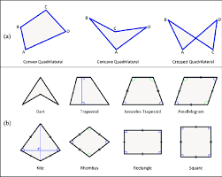 A quadrilateral is a polygon we obtain by joining four vertices, and it has four sides and four angles. A Quadrilaterals B Types Of Quadrilaterals Download Scientific Diagram