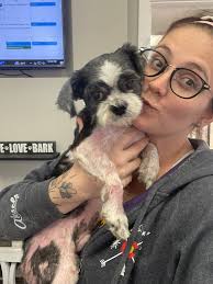 Behind the Scenes at Frosted Faces Foundation