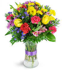 4273 schiller ave, cleveland, oh 44109, usa. Florist S Choice Daily Deal Cleveland Oh Florist
