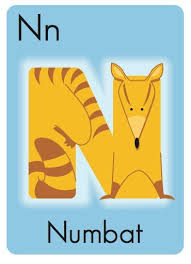 N Is For Numbat Part Of The Abc Animal Alphabet Series Featuring Cute Animals Forming The Letters Of The Alphabet Numbat Book Illustration Animal Alphabet