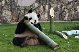 News source: 毎日新聞