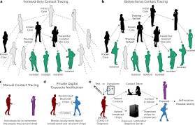 This is why sales of hand. Bidirectional Contact Tracing Could Dramatically Improve Covid 19 Control Nature Communications