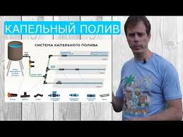как сделать капельный полив в теплице из пластиковых бутылок Kak Sdelat Kapelnyj Poliv Svoimi Rukami Sistema Kapelnogo Poliva Ceny I Mnogoe Drugoe Youtube S Izobrazheniyami Polo Teplica Vertikalnye Ogorody