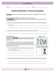 The building dna gizmo™ allows you to construct a dna molecule and go through the process of dna replication. Humankaryotypingse Doc Name Date Student Exploration Human Karyotyping Vocabulary Autosome Chromosomal Disorder Chromosome Karyotype Sex Chromosome Course Hero