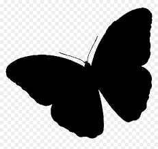 Brush Footed Butterflies Clip Art Silhouette Black Butterfly Png Black And White Transparent Png Vhv