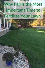 If You Only Fertilize Your Lawn Once A Year Fall Is The Best And Most Important Time Northern Grasses Fertilize As Fall Lawn Care Fall Lawn Lawn Fertilizer