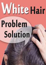 White hair is more noticeable in people with a darker hair color. White Hair Problem Solution Hindi Urdu Tamil Video For Android Apk Download