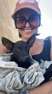 Arthur has now survived a week without incident emm wonder how much longer  my luck will last!