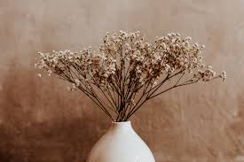 We did not find results for: How To Dry Flowers 5 Methods For Drying Flowers 2021 Masterclass