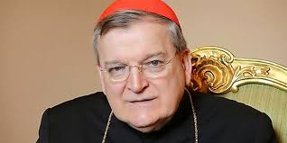 Resultado de imagen para cardenal Burke