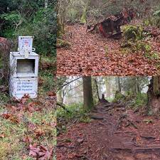 We did not find results for: Creepy Things In The Foggy Woods Trailrunning