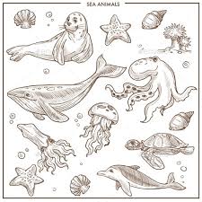 Sea And Ocean Animals Or Fish Vector Sketch Fish Sketch Ocean Drawing Sea Animals Drawings