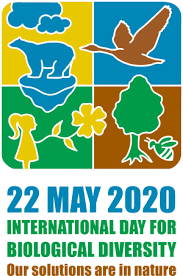 Maybe you would like to learn more about one of these? International Day For Biological Diversity 22 May Humanitarian Web