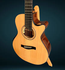 2011 Sheppard Minstrel Multi-Scale Madagascar Rosewood > Guitars Acoustic