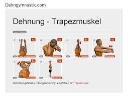 Wollen sie zudem den oberen rücken, sprich den trapezmuskel, trainieren, ziehen sie die stange bis auf höhe der brust. Dehngymnastik Com Dehnung Bild Trapezmuskel